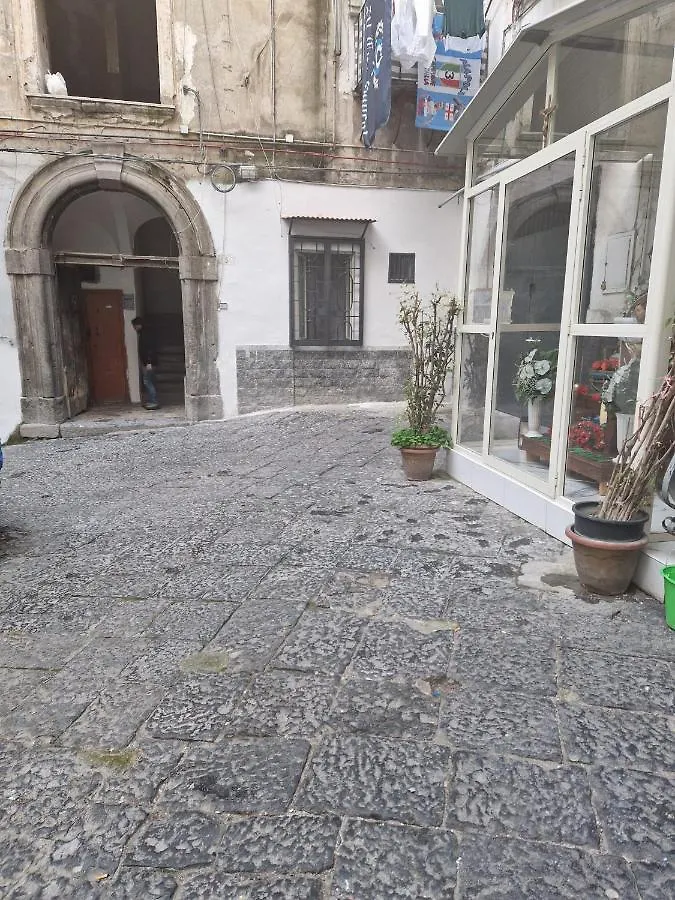 Caponapoli House Apartment 0*, Naples Italy